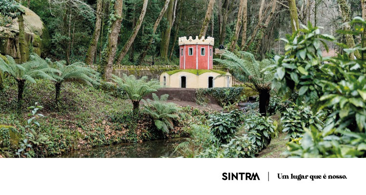 Parques de Sintra realiza webinar formativo sobre Parque da Pena