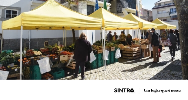 Mercado da Estefânia em Sintra é considerado exemplo de sucesso