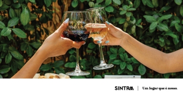 Turismo de Portugal promove ação “Desafios da Sustentabilidade no Enoturismo Wine Not?!”