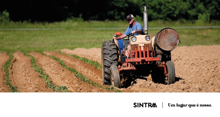 INFO | Prejuízos causados pela depressão Martinho podem ser declarados pelos agricultores