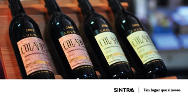 Missão Empresarial | Setor Agroalimentar e Bebidas | Balcãs