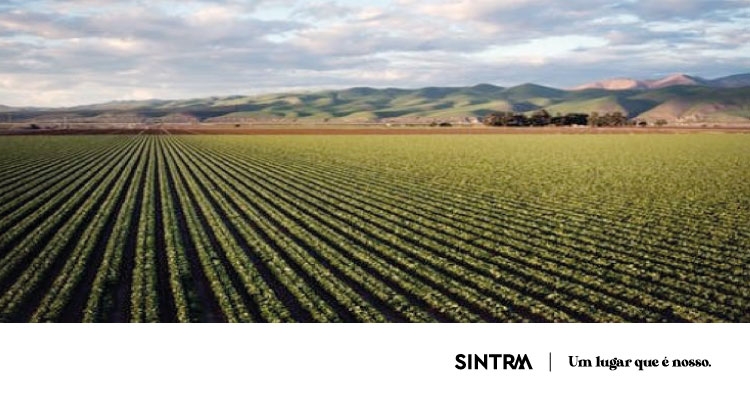 Apoio a agricultores da região saloia