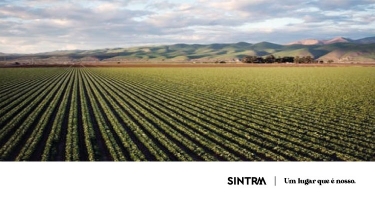 Apoio a agricultores da região saloia