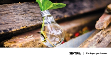 IAPMEI e SIBS divulgam ferramenta de suporte ESG