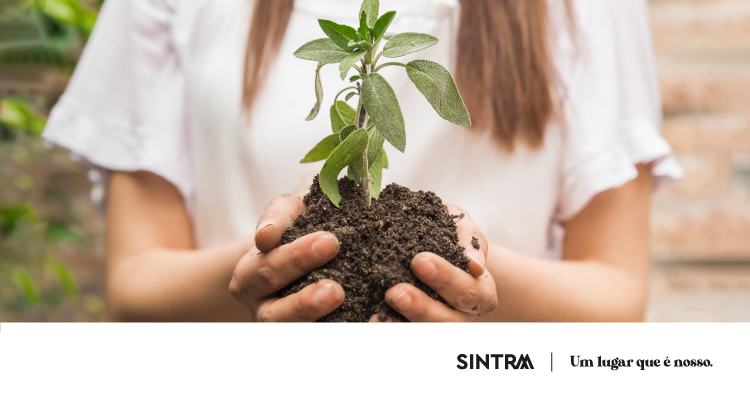 PME mais sustentáveis: EFRAG lança inquérito sobre nova norma voluntária