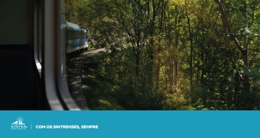 Sessão final do ciclo “Mobilidade Sustentável no Turismo” destaca resultados do Porto e Norte do país