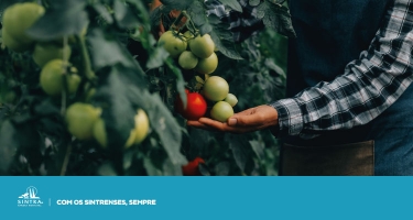 Agricultura em debate no Lisbon Agri Conferences