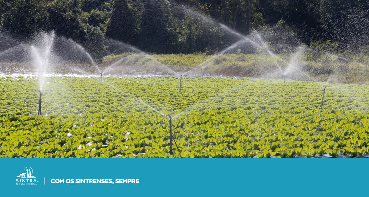 Federação Nacional de Regantes de Portugal organiza “Encontro do Regadio 2025”