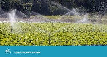 Federação Nacional de Regantes de Portugal organiza “Encontro do Regadio 2025”
