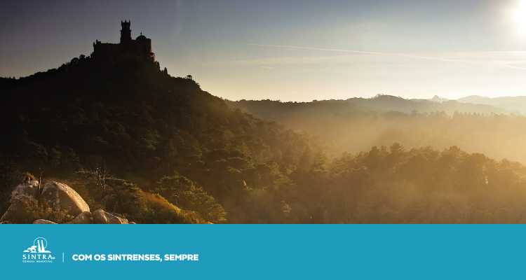 Abertas candidaturas para programa Green Key